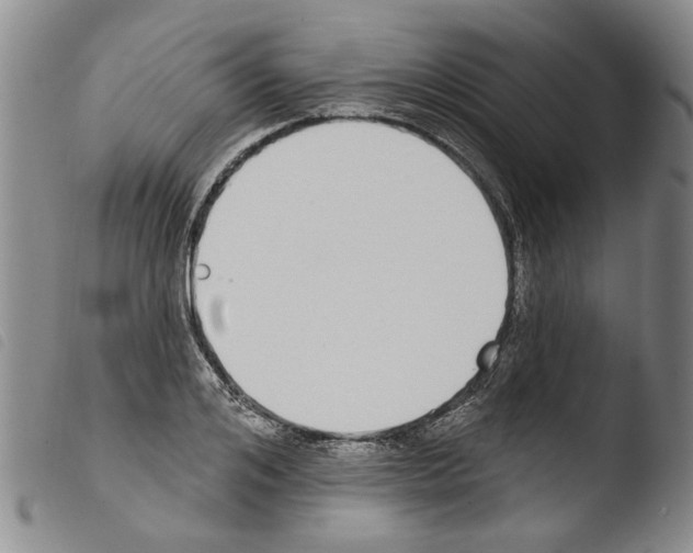 X0000103470984200810241009