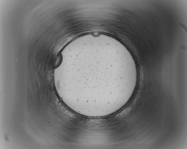 X0000103470985200810241009