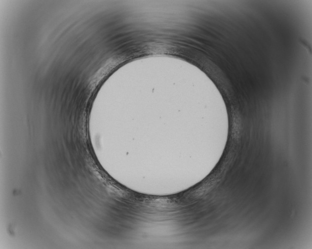 X0000103470986200810241009