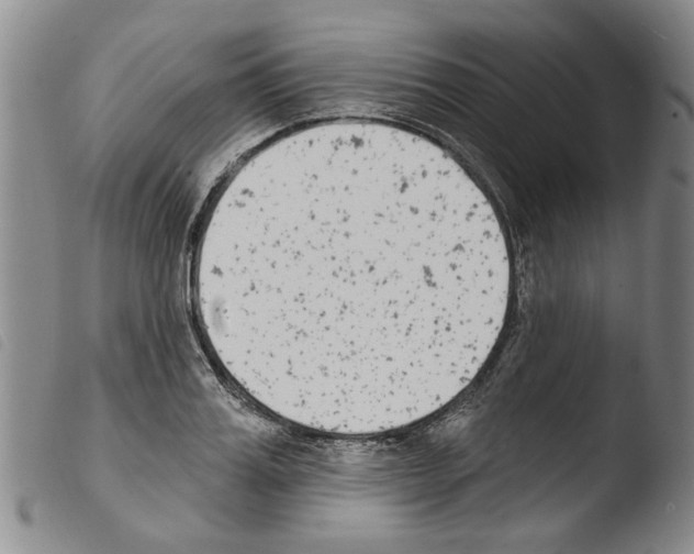X0000103470987200810241009