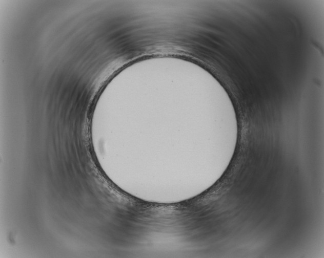 X0000103470990200810241009