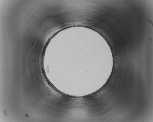 X0000103470991200810241009