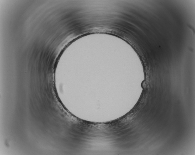 X0000103470992200810241009