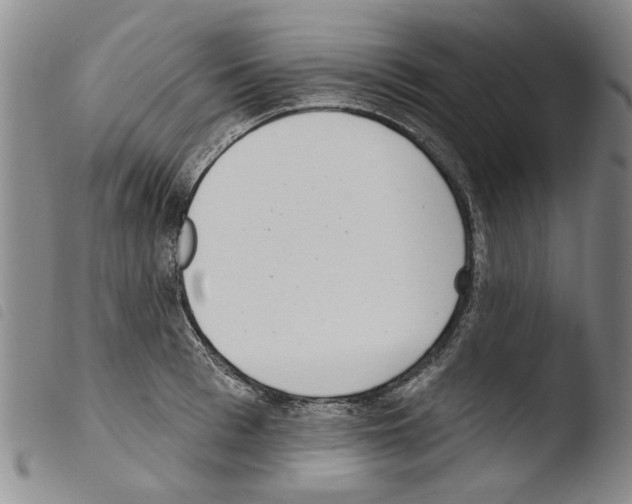 X0000103470993200810241009