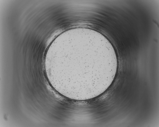 X0000103470994200810241009