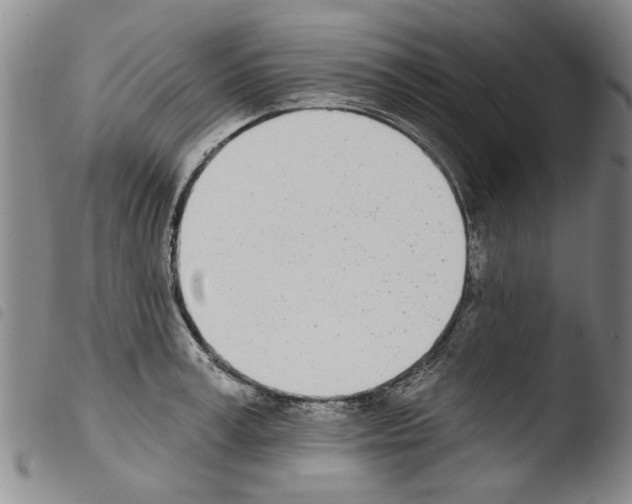 X0000103470995200810241009