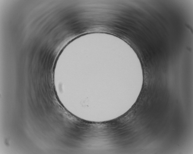 X0000103470996200810241009