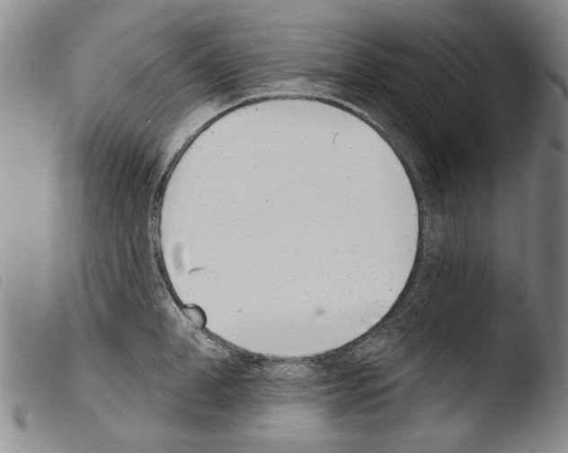 X0000103470998200810241009