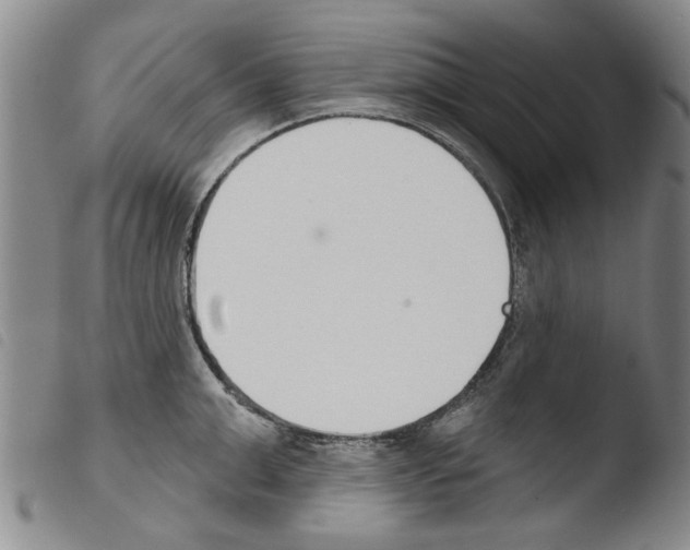 X0000103470999200810241009