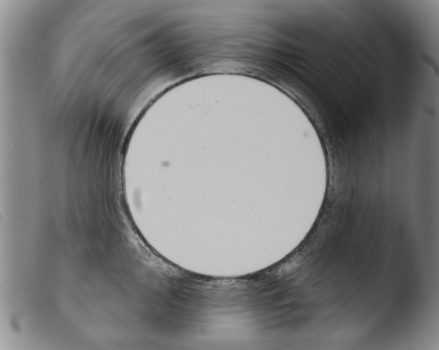 X0000103471000200810241009