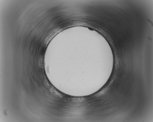 X0000103471001200810241009