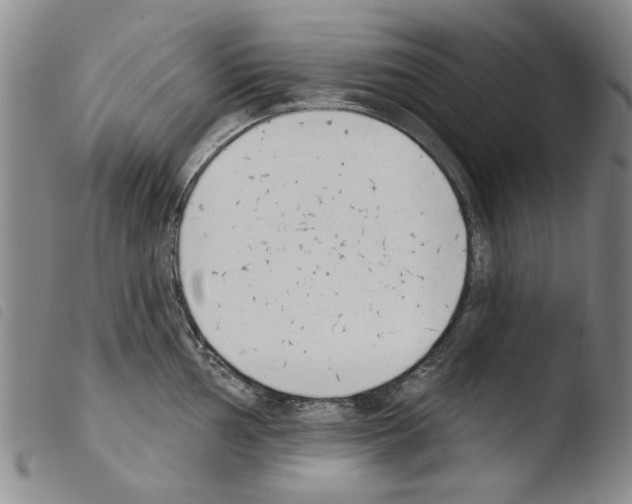 X0000103471002200810241009