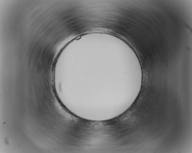 X0000103471003200810241009