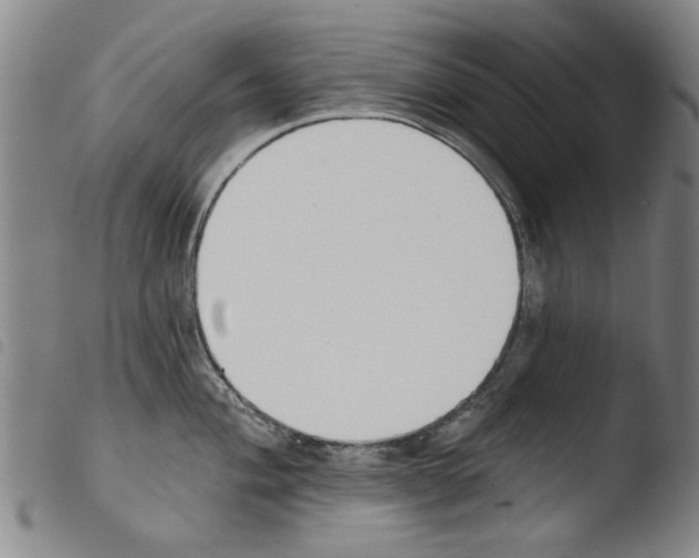 X0000103471004200810241009