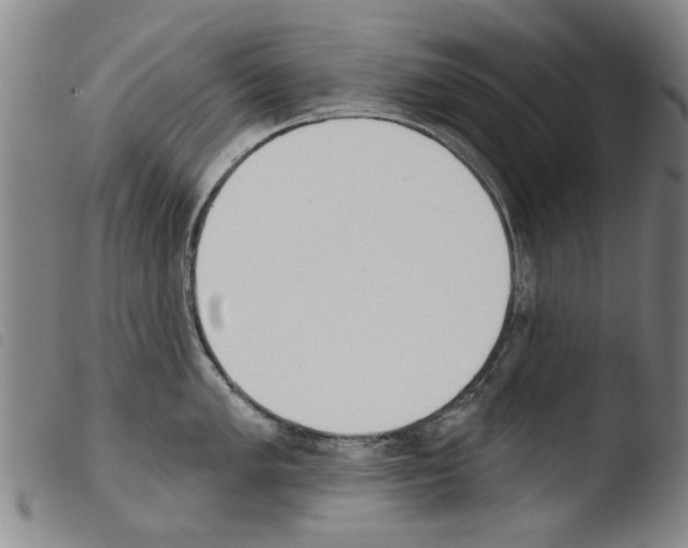 X0000103471005200810241009