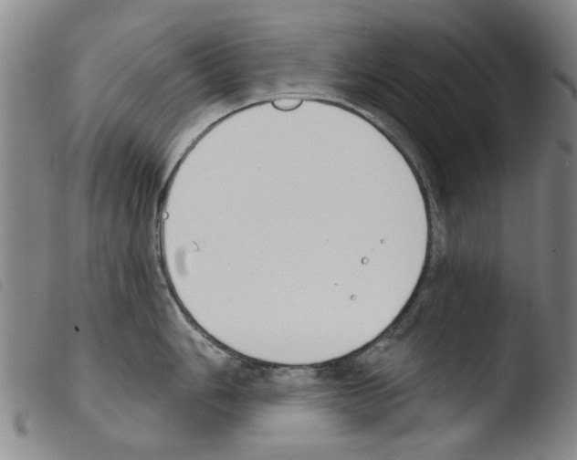 X0000103471006200810241009