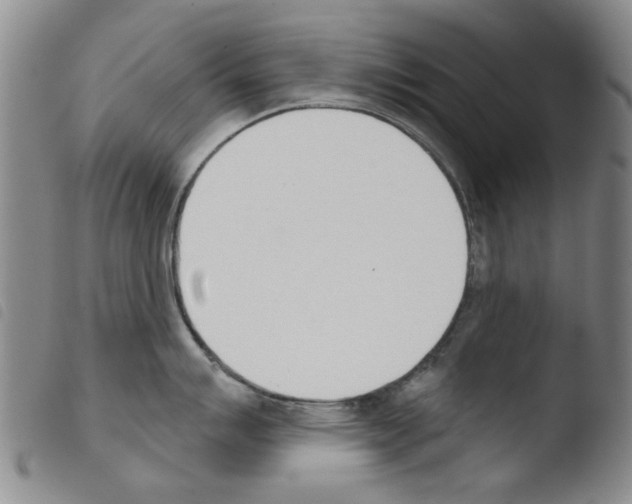 X0000103471007200810241009