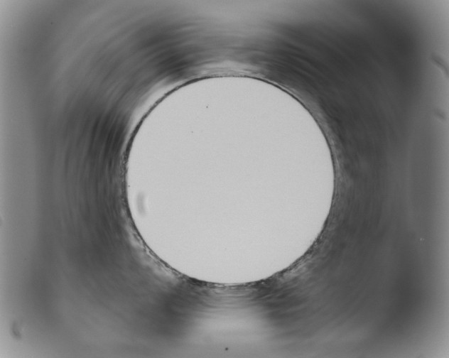 X0000103471008200810241009