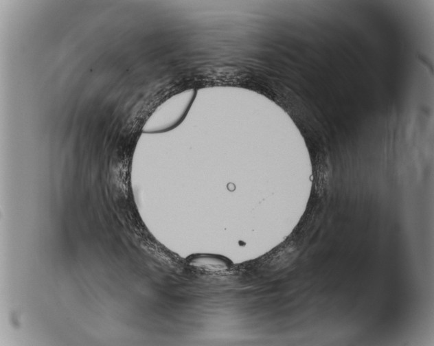 X0000103471010200810241008