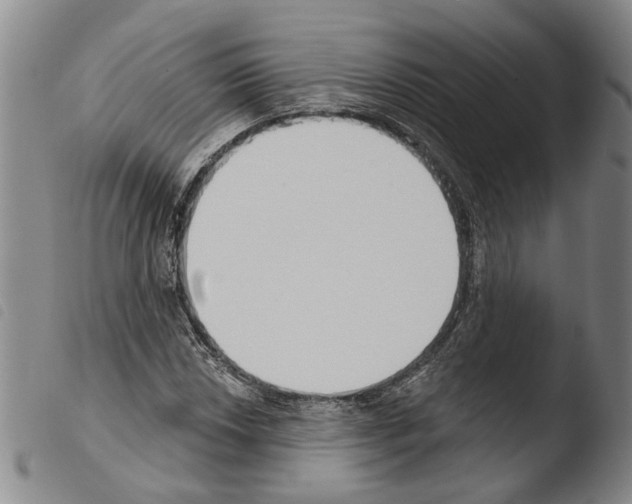 X0000103471018200810241008