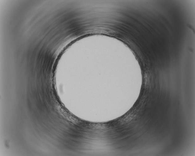 X0000103471020200810241008