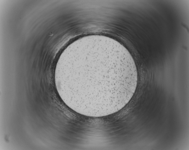 X0000103471023200810241008