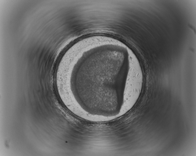 X0000103471024200810241008