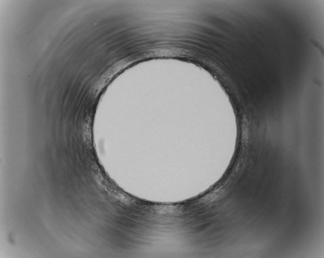 X0000103471025200810241008