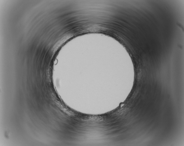 X0000103471026200810241008