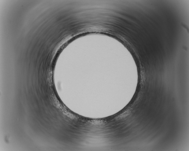 X0000103471029200810241009