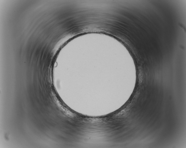 X0000103471030200810241009