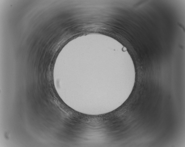 X0000103471031200810241009