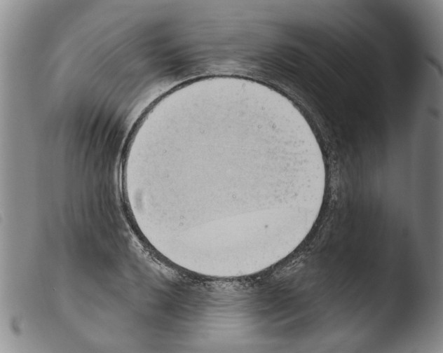 X0000103471032200810241009