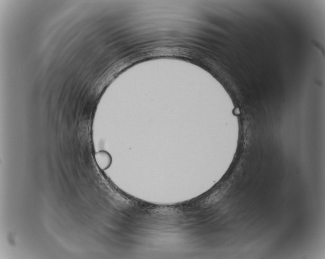 X0000103471033200810241009