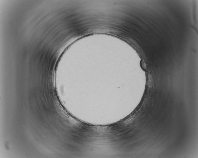 X0000103471036200810241009