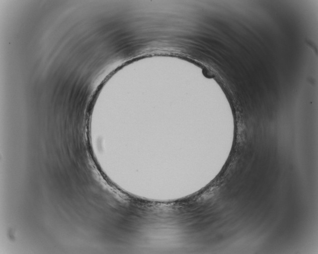 X0000103471038200810241009