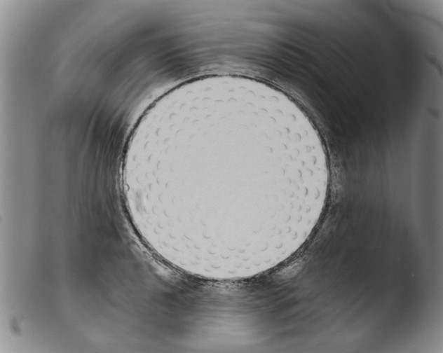 X0000103471040200810241009