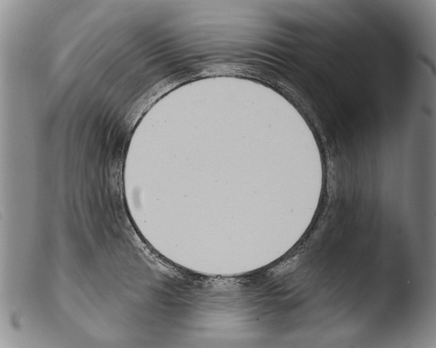X0000103471041200810241009