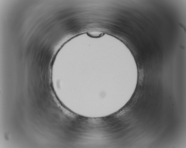 X0000103471046200810241009