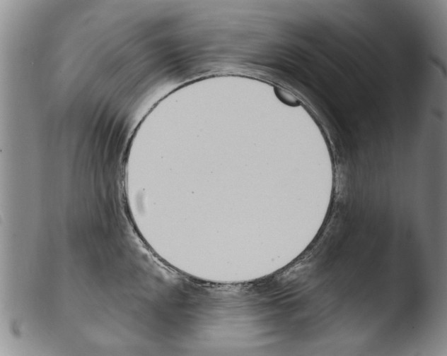 X0000103471048200810241009