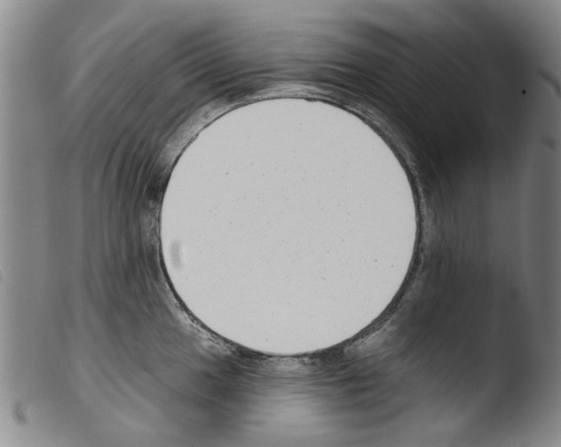 X0000103471049200810241009