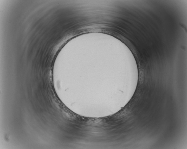 X0000103471051200810241009