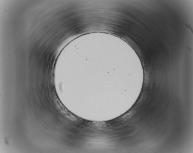X0000103471052200810241009