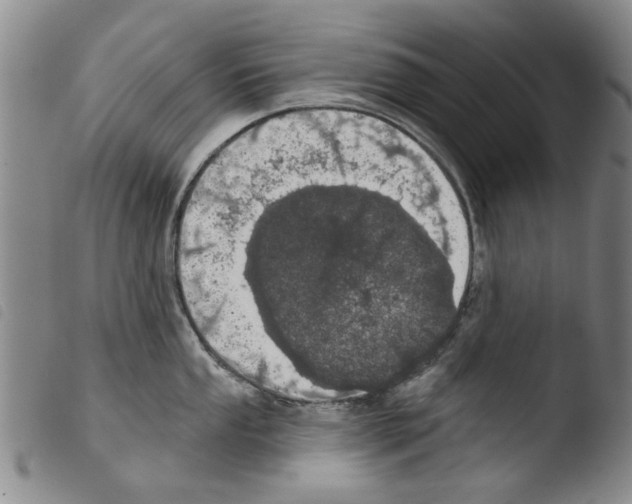 X0000103471053200810241009