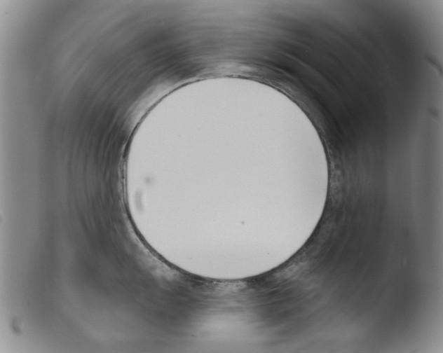 X0000103471055200810241009