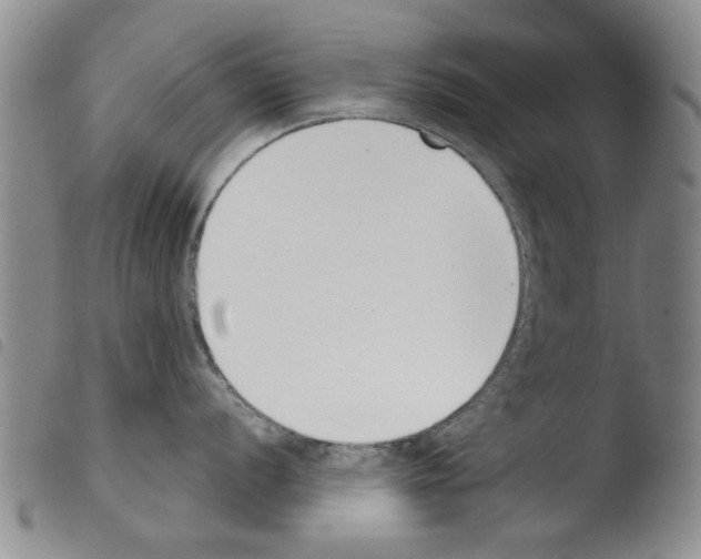 X0000103471056200810241009