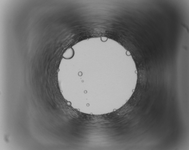 X0000103471057200810241008