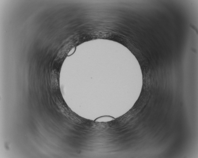 X0000103471058200810241008