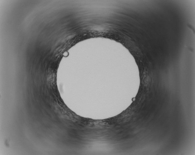 X0000103471061200810241008