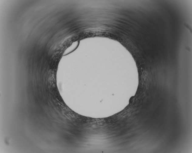 X0000103471062200810241008